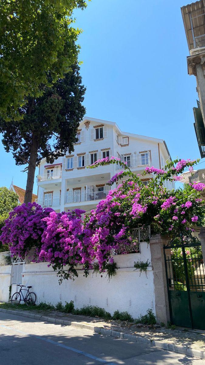İstanbul’un Adalarına Rüya Gibi Bir Yolculuk: Yemekli 3 Ada Turu-14