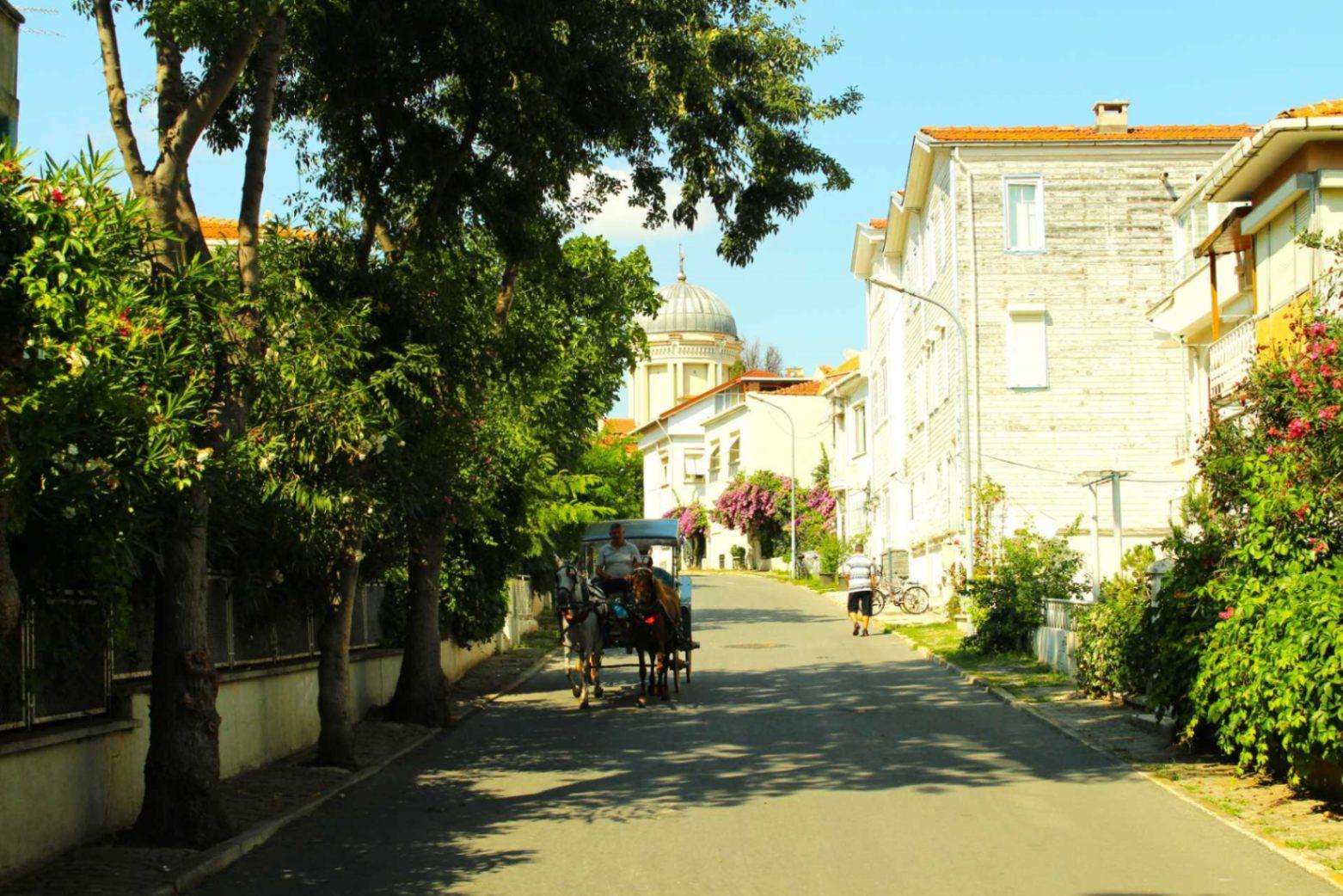 İstanbul’un Adalarına Rüya Gibi Bir Yolculuk: Yemekli 3 Ada Turu-21