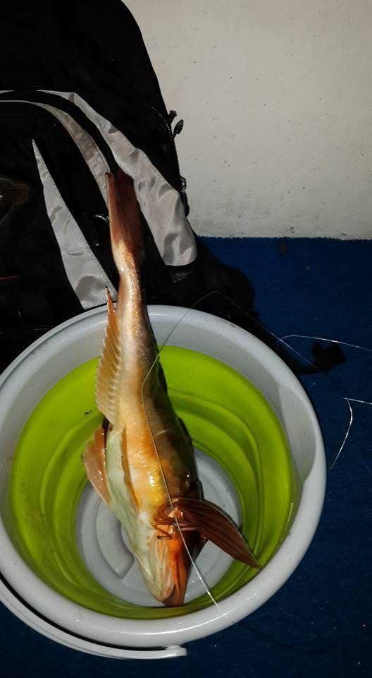 Weekend Fishing Tour – Per Person-2