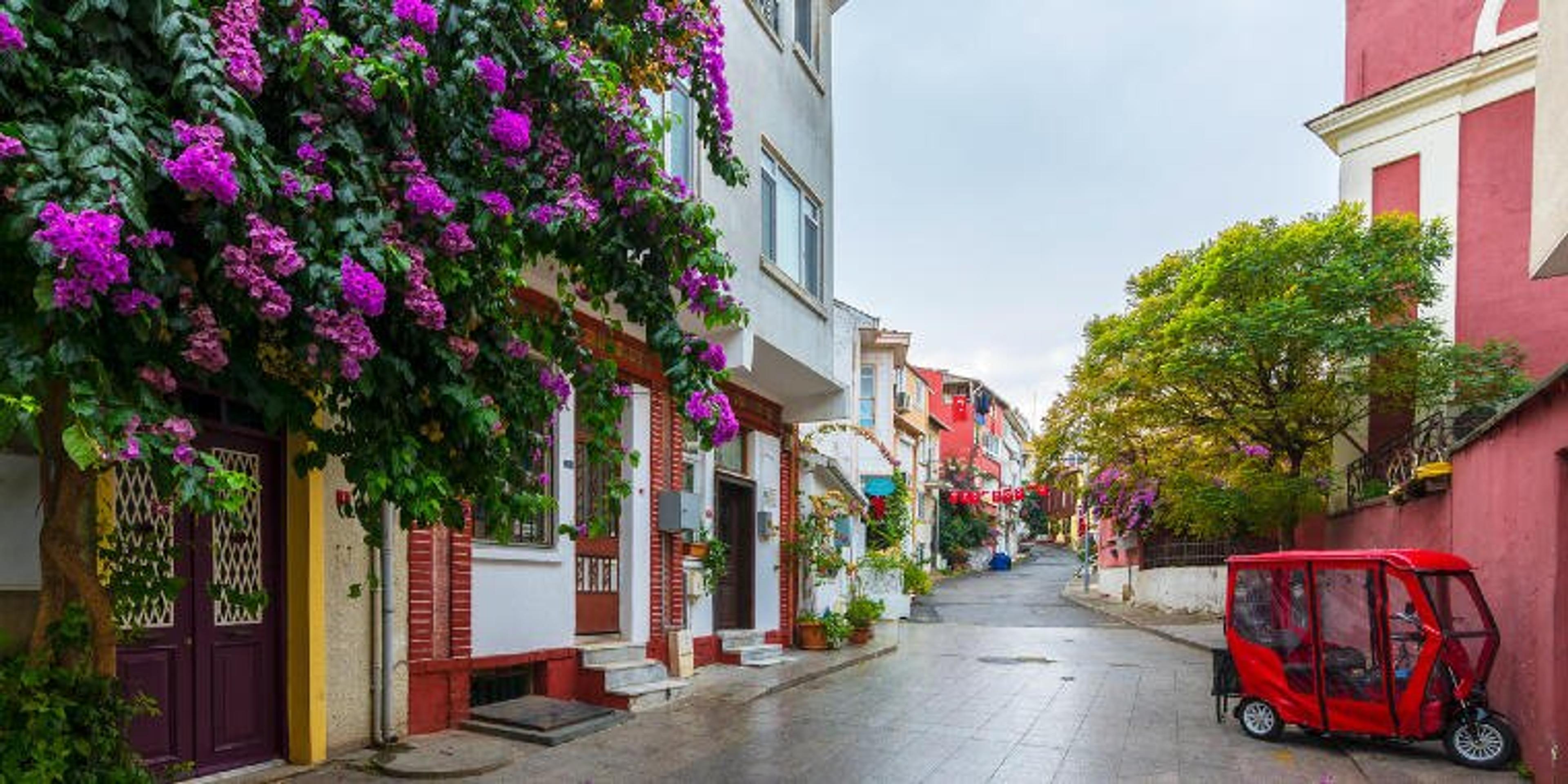 A Dreamlike Journey to Istanbul's Islands: 2-Island Tour with Meal (Tour content has been updated.) - photo 5