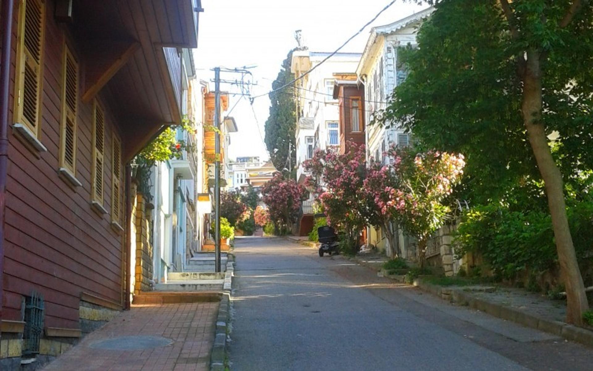 İstanbul’un Adalarına Rüya Gibi Bir Yolculuk: Yemekli 2 Ada Turu (Tur içeriği güncellenmiştir.) - photo 16