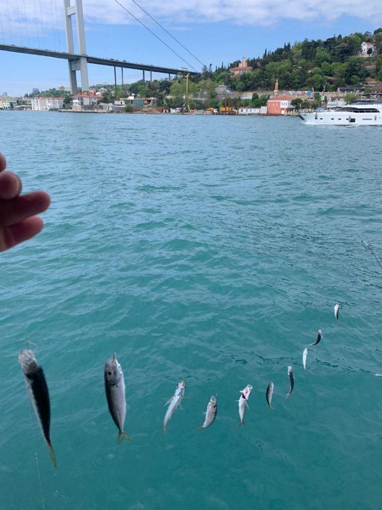 Size Özel Teknede Balık Tutmayı Öğretiyoruz Tüm Ekipmanlar Dahil! 10 Kişiye Kadar Toplam Tutardır.-9