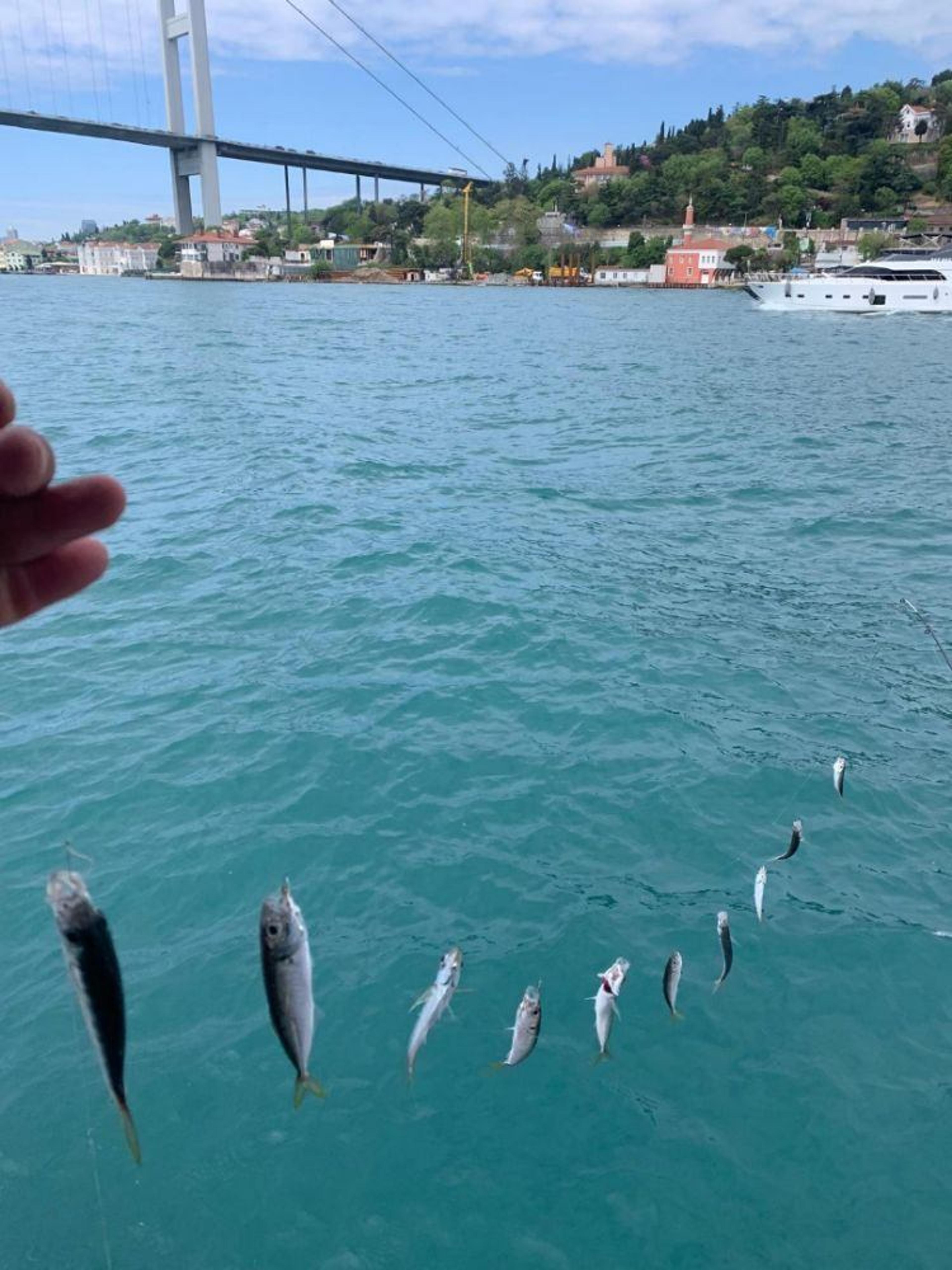 Size Özel Teknede Balık Tutmayı Öğretiyoruz Tüm Ekipmanlar Dahil! 10 Kişiye Kadar Toplam Tutardır. - photo 10