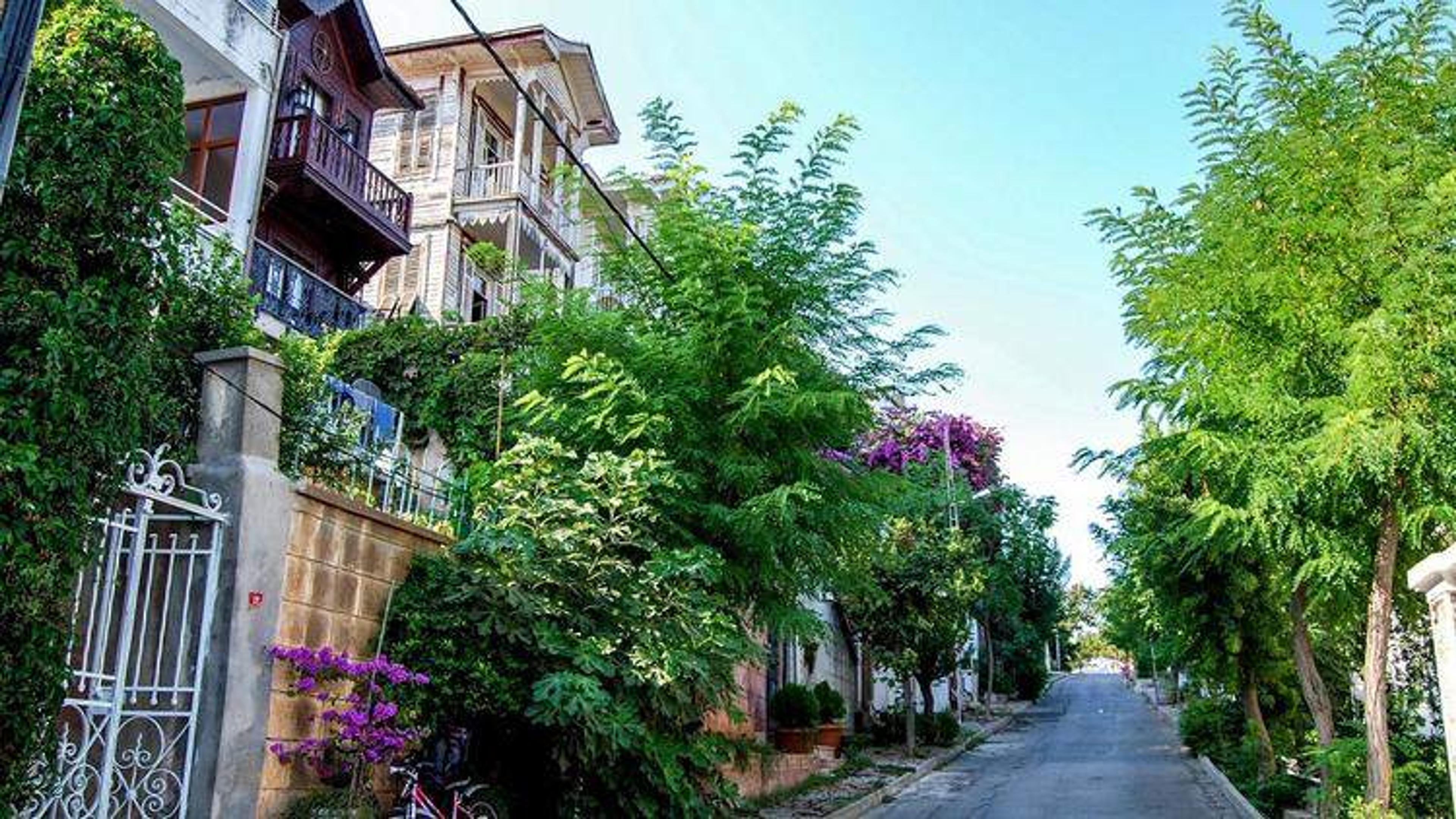 A Dreamlike Journey to Istanbul's Islands: 2-Island Tour with Meal (Tour content has been updated.) - photo 15