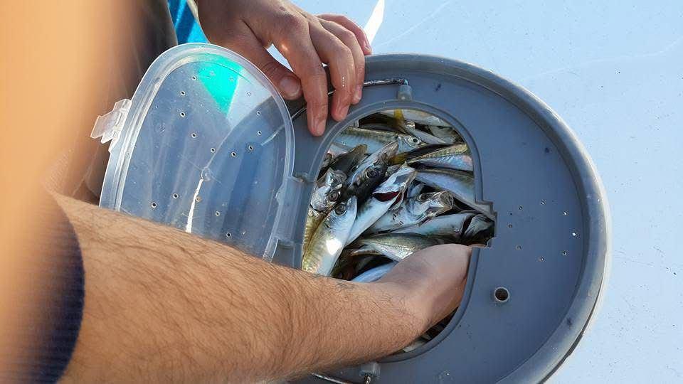 Weekend Fishing Tour – Per Person-9