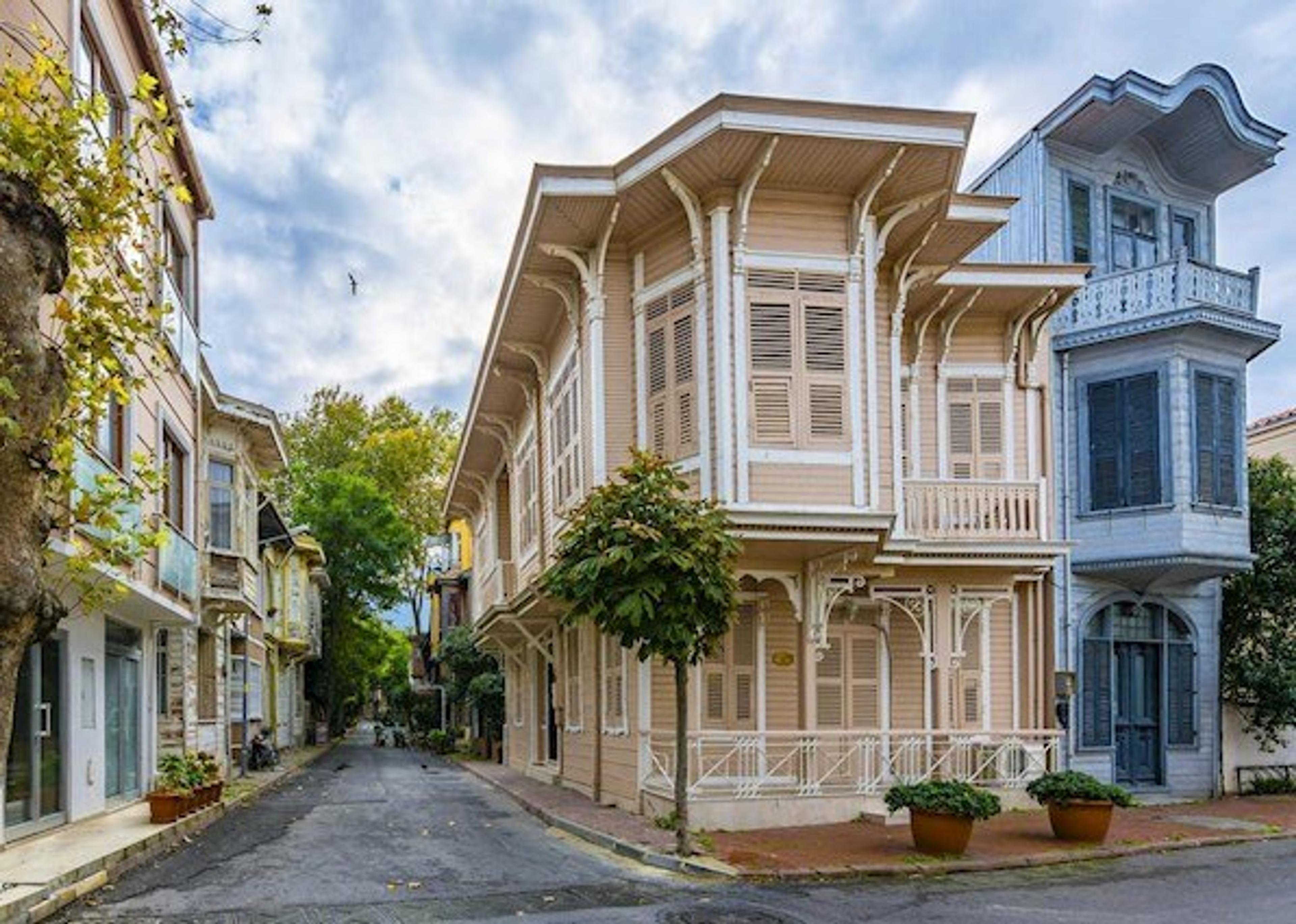 A Dreamlike Journey to Istanbul's Islands: 2-Island Tour with Meal (Tour content has been updated.) - photo 8