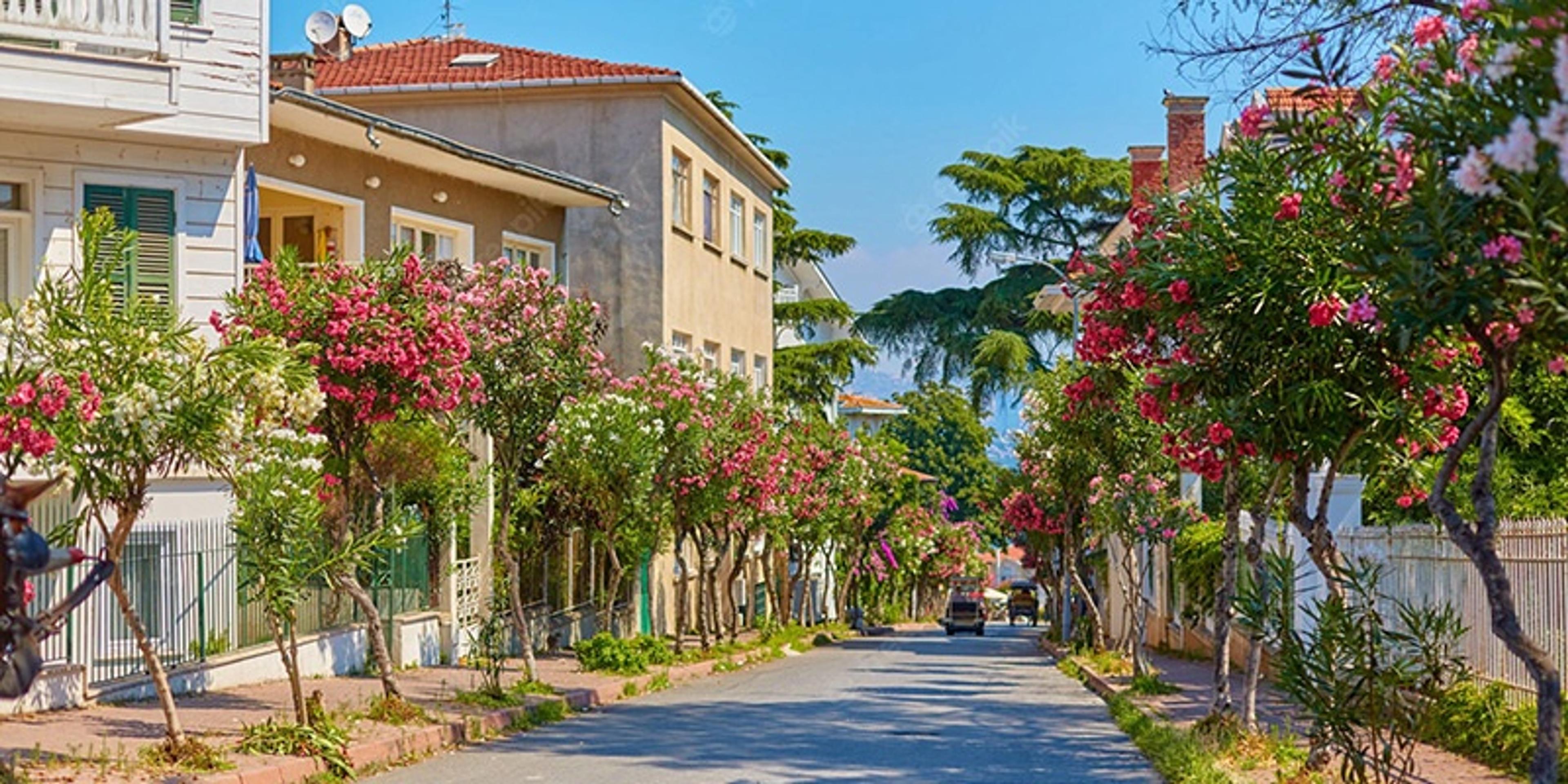 A Dreamlike Journey to Istanbul's Islands: 2-Island Tour with Meal (Tour content has been updated.) - photo 20