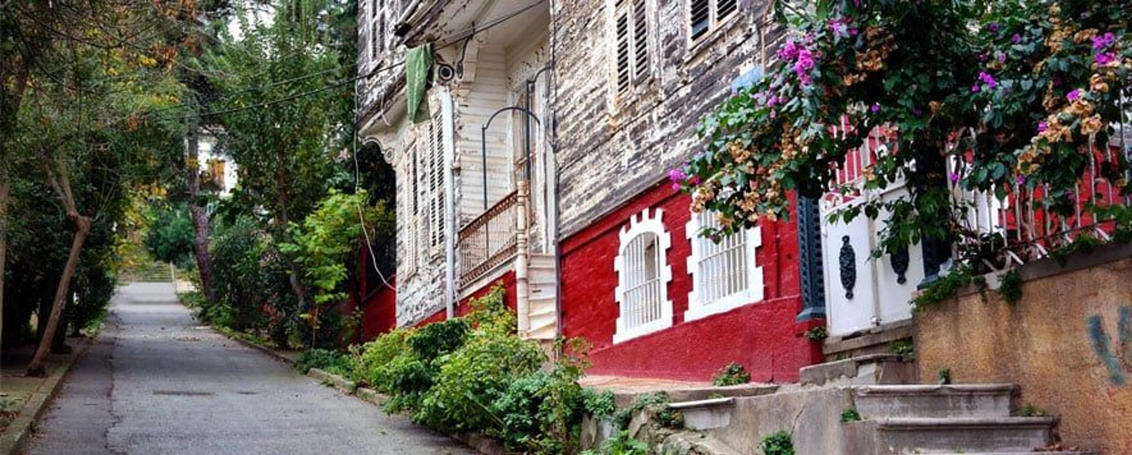 A Dreamlike Journey to Istanbul's Islands: 2-Island Tour with Meal (Tour content has been updated.) - photo 22