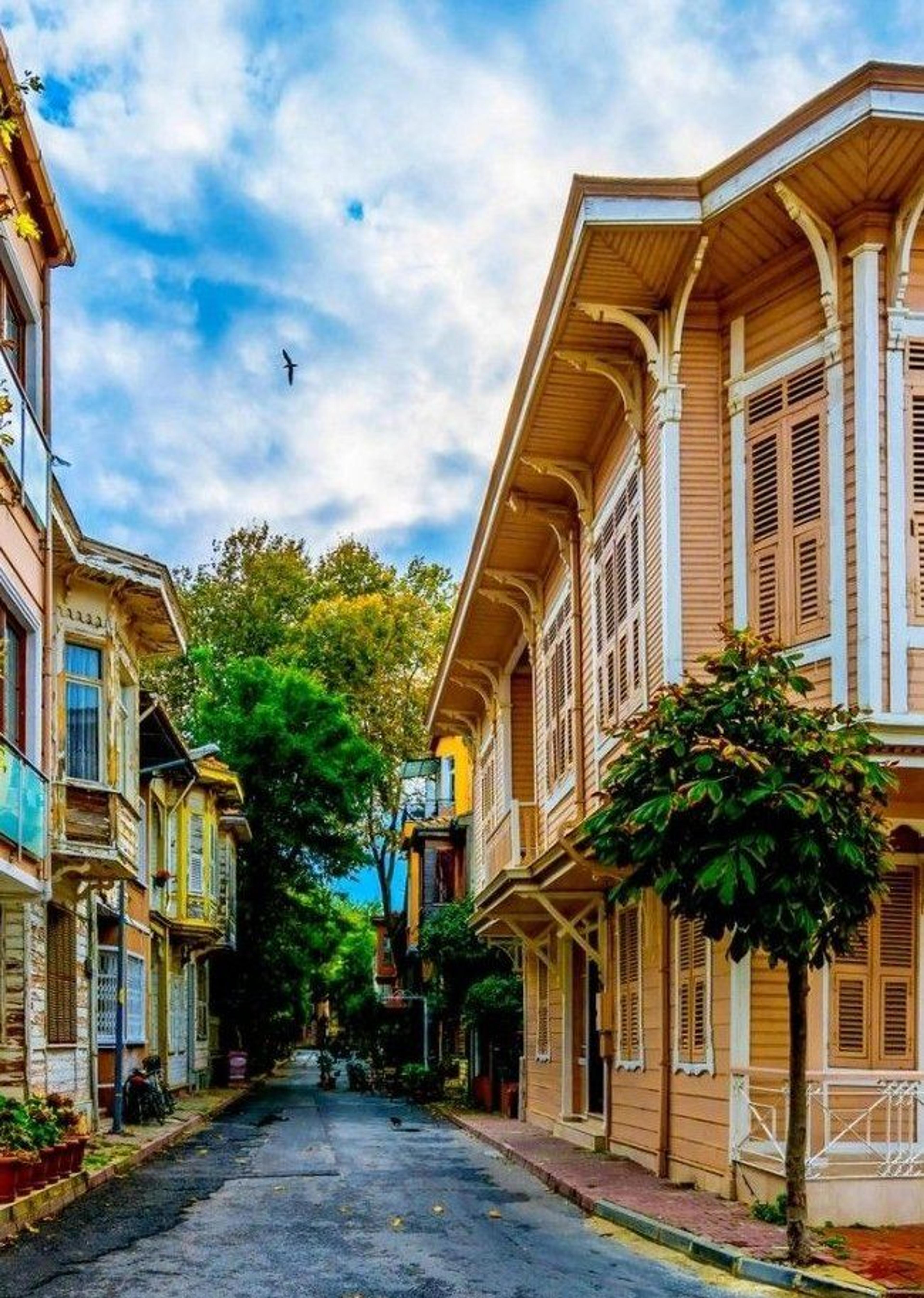 A Dreamlike Journey to Istanbul's Islands: 2-Island Tour with Meal (Tour content has been updated.) - photo 6