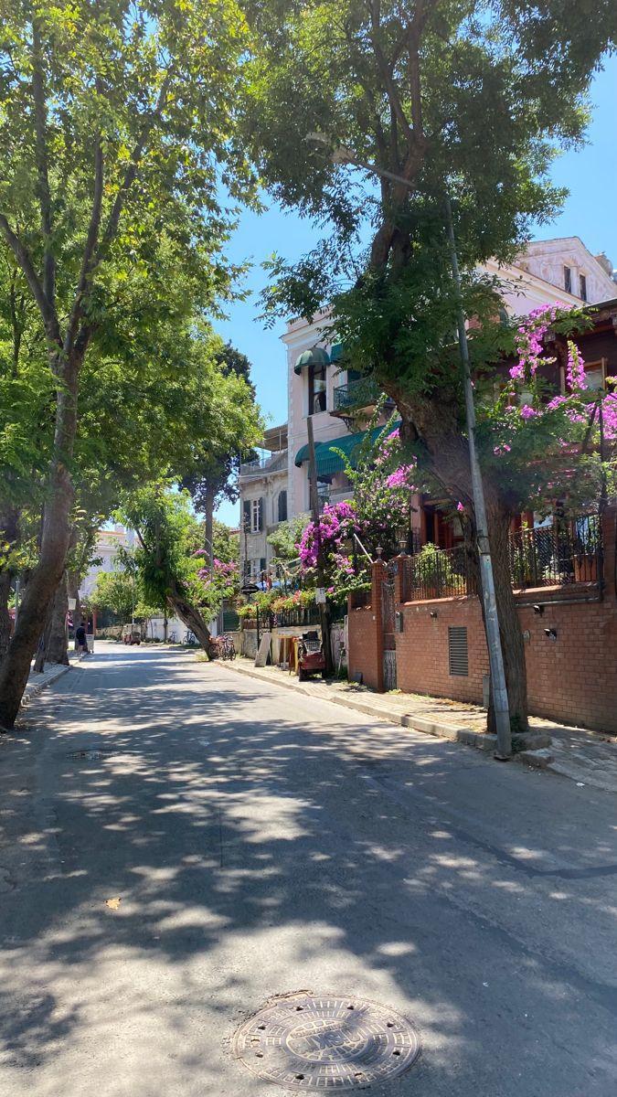 İstanbul’un Adalarına Rüya Gibi Bir Yolculuk: Yemekli 3 Ada Turu-11