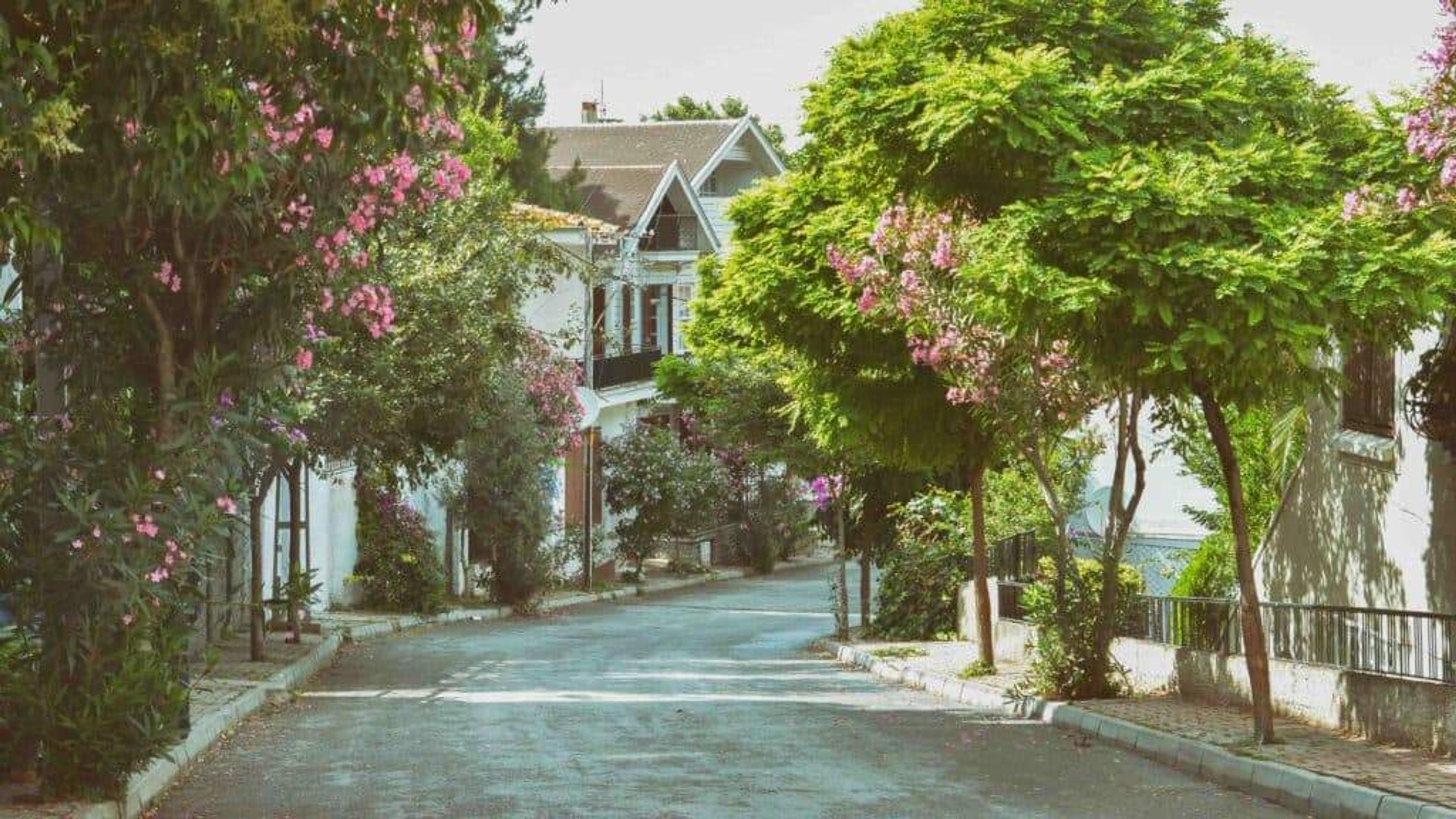 A Dreamlike Journey to Istanbul's Islands: 2-Island Tour with Meal (Tour content has been updated.) - photo 4