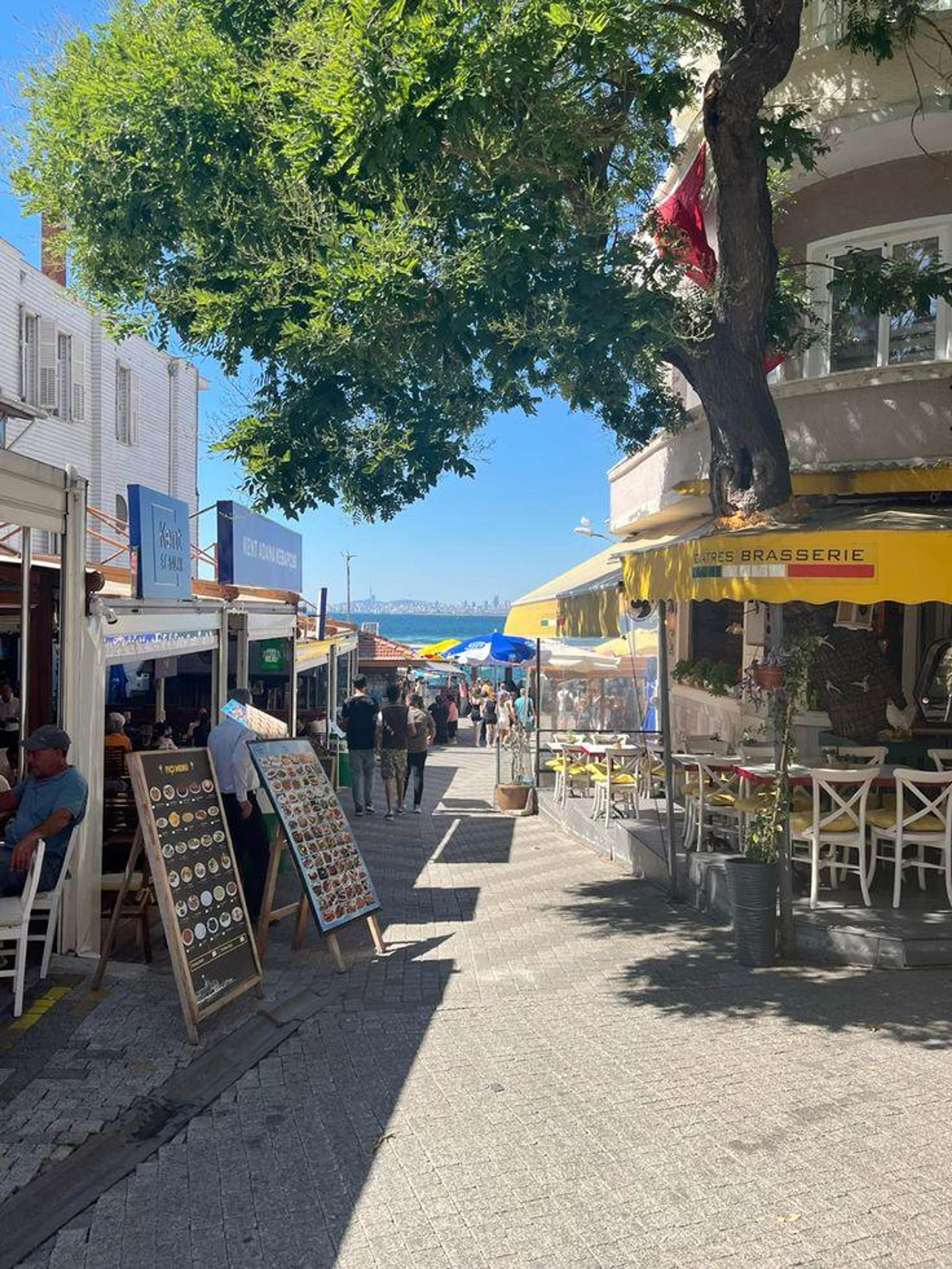 A Dreamlike Journey to Istanbul's Islands: 2-Island Tour with Meal (Tour content has been updated.) - photo 11