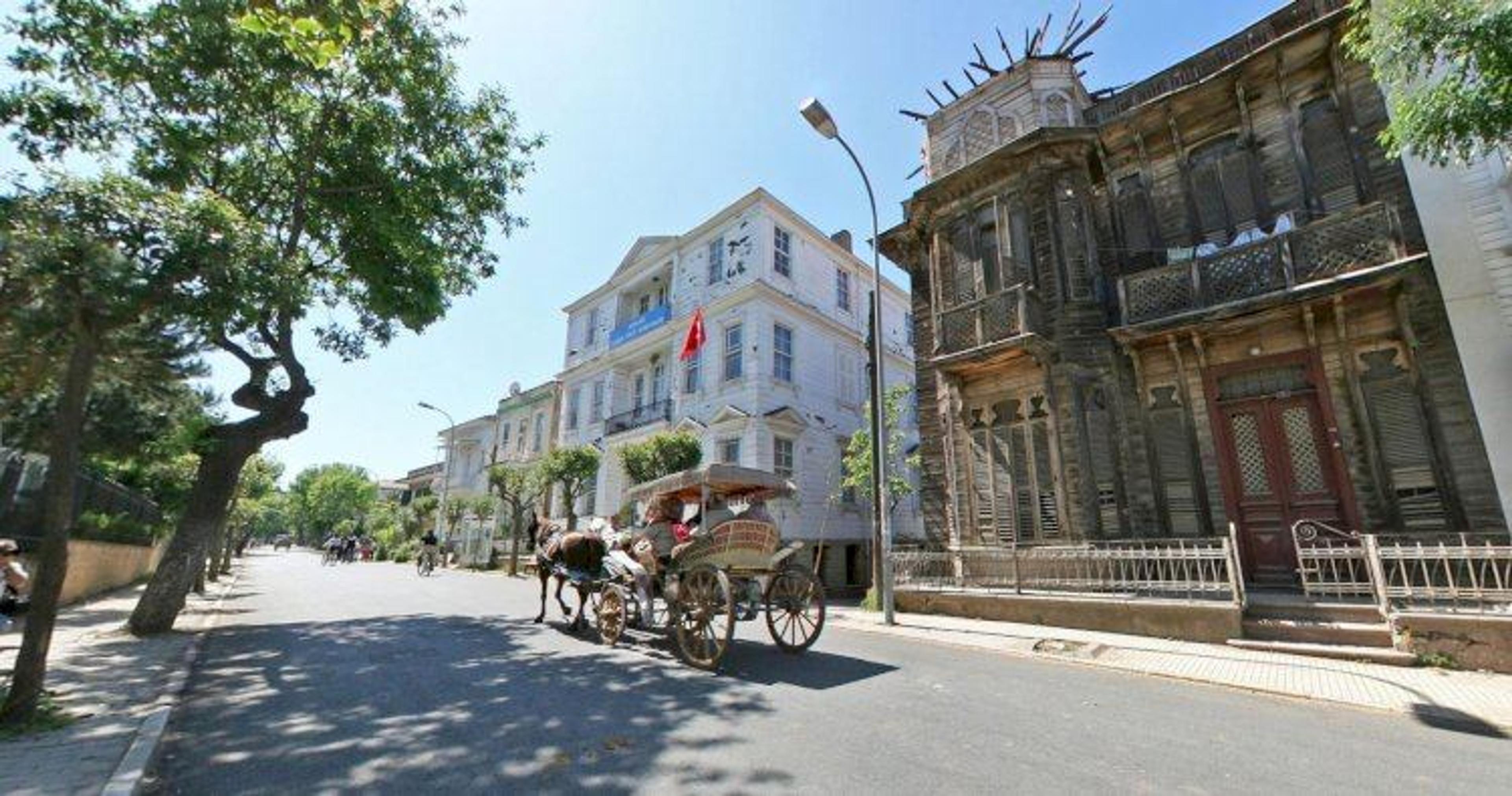 A Dreamlike Journey to Istanbul's Islands: 2-Island Tour with Meal (Tour content has been updated.) - photo 18