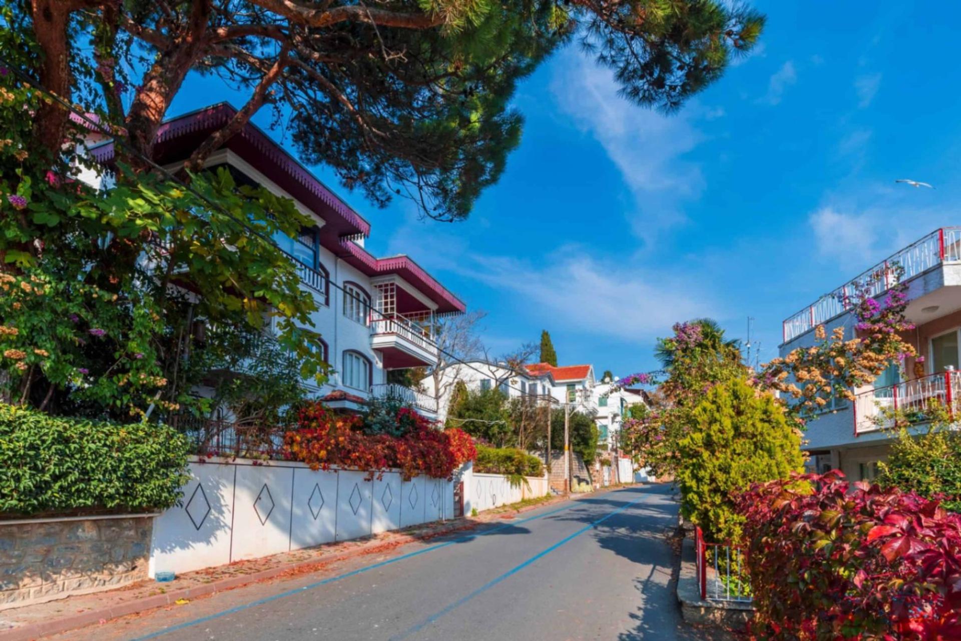 İstanbul’un Adalarına Rüya Gibi Bir Yolculuk: Yemekli 2 Ada Turu (Tur içeriği güncellenmiştir.) - photo 1