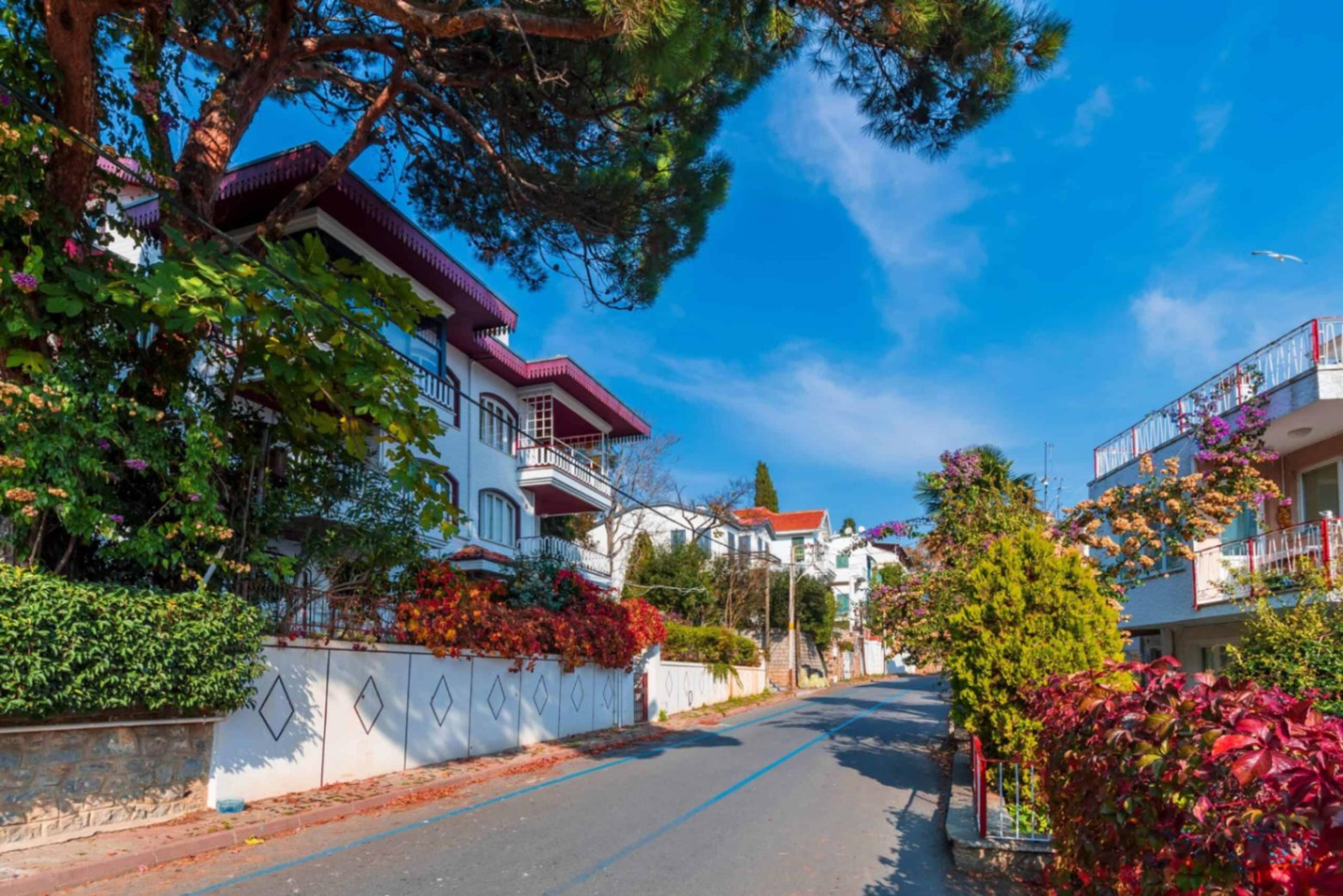 A Dreamlike Journey to Istanbul's Islands: 2-Island Tour with Meal (Tour content has been updated.) - photo 1