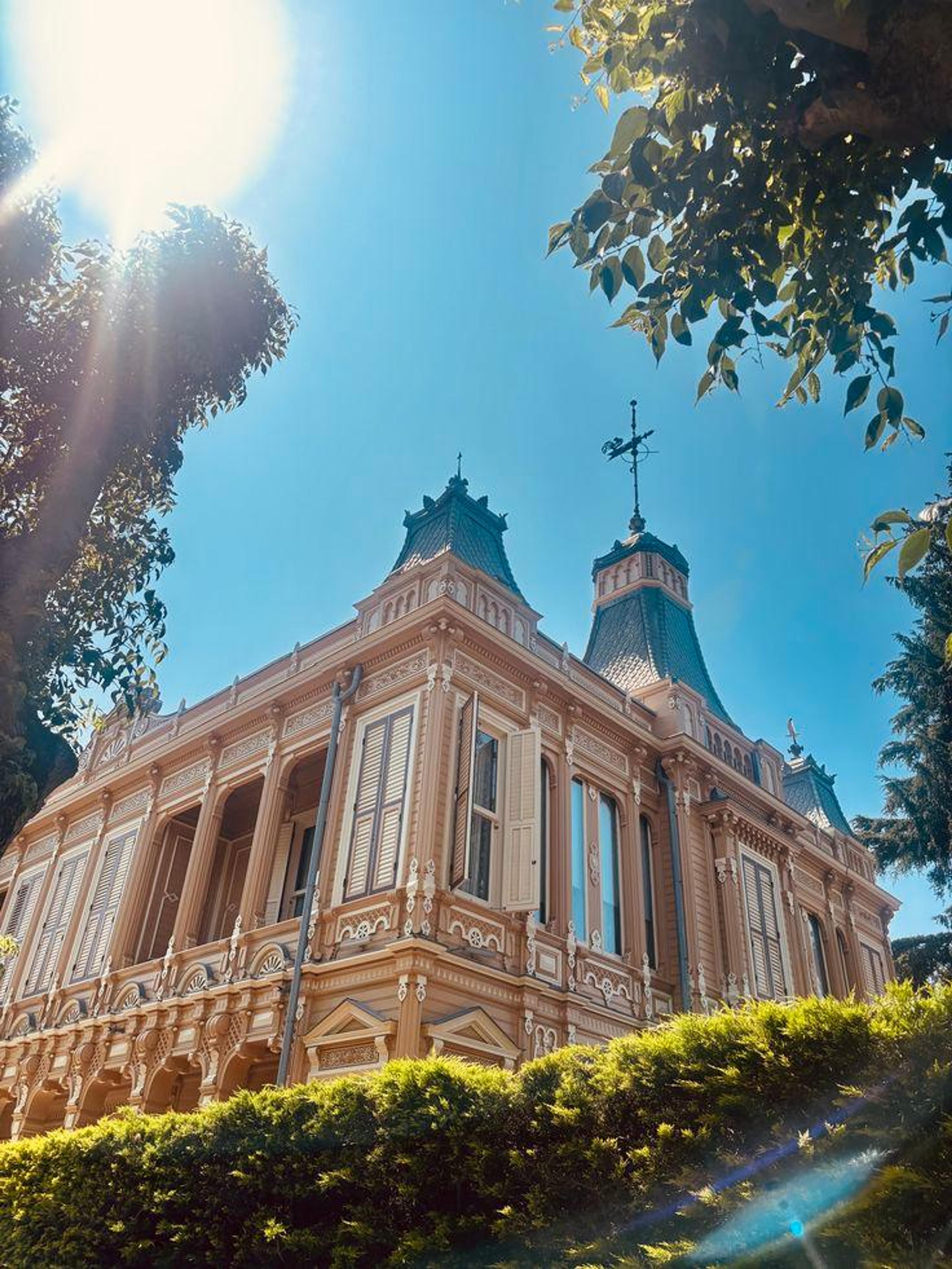 A Dreamlike Journey to Istanbul's Islands: 2-Island Tour with Meal (Tour content has been updated.) - photo 10