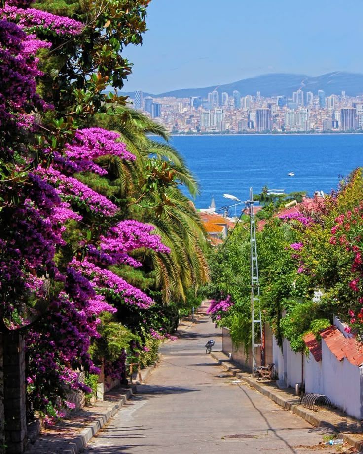 İstanbul’un Adalarına Rüya Gibi Bir Yolculuk: Yemekli 2 Ada Turu (Tur içeriği güncellenmiştir.) - 9