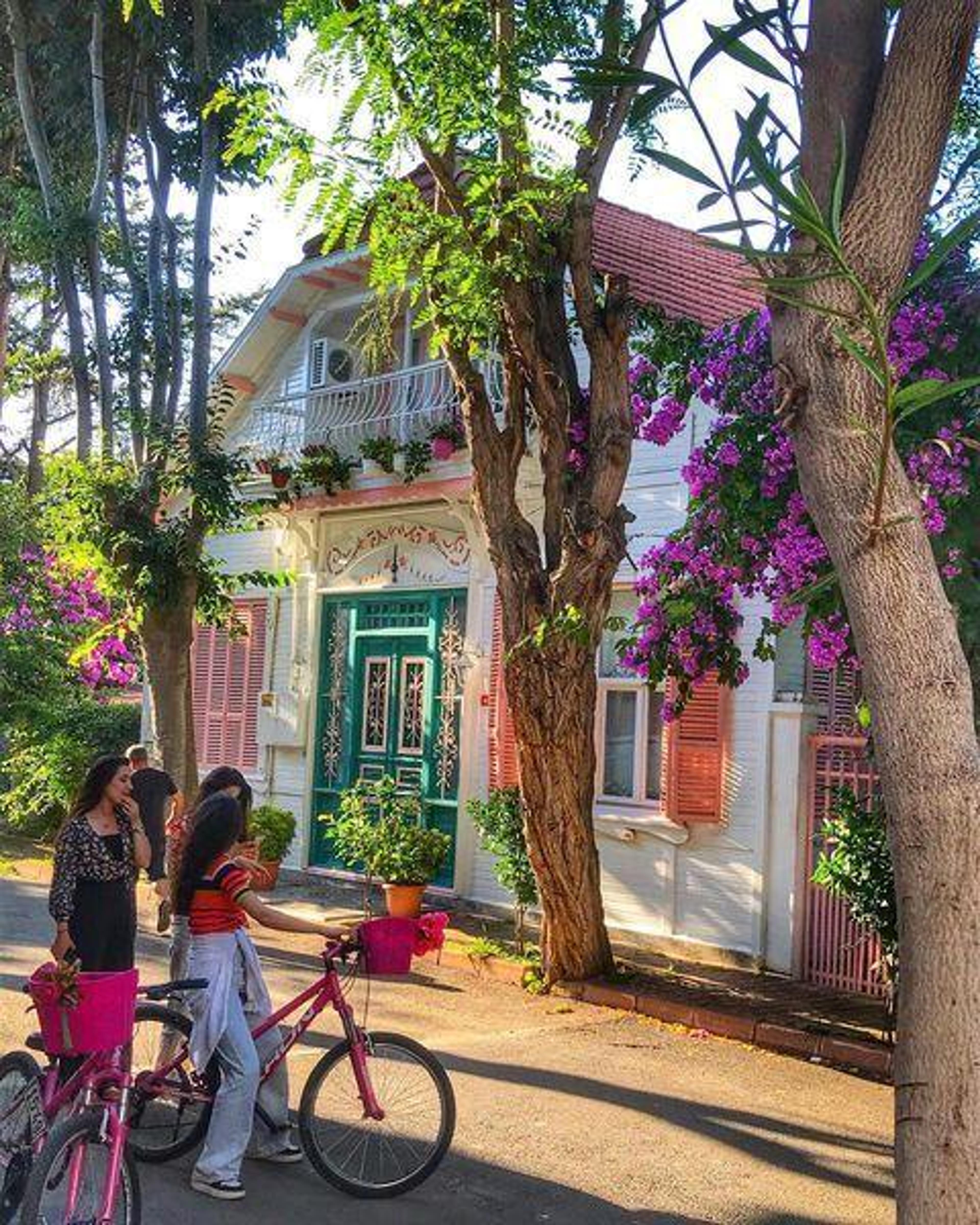 A Dreamlike Journey to Istanbul's Islands: 2-Island Tour with Meal (Tour content has been updated.) - photo 12
