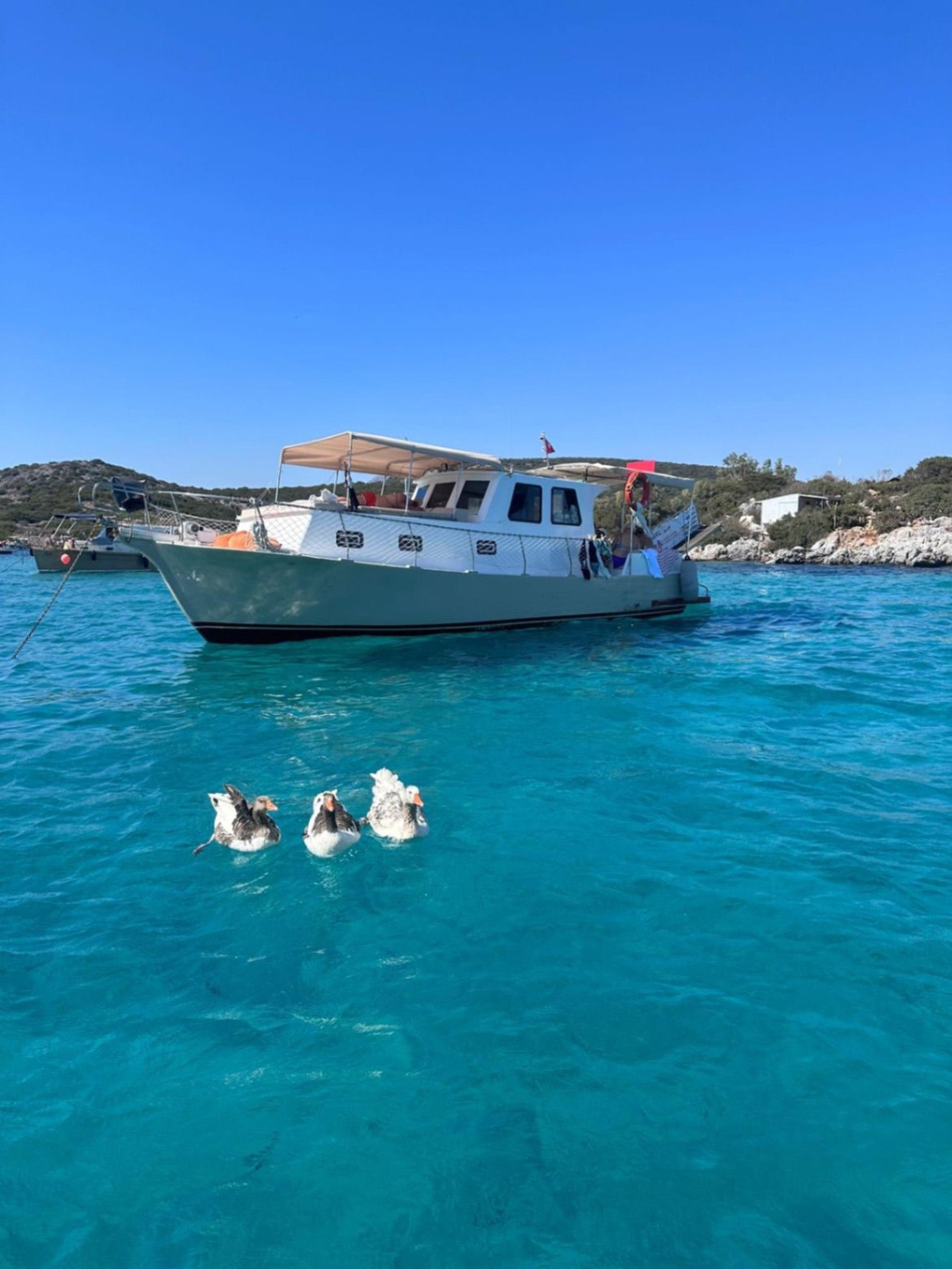 Rental Custom made 12m Motor Yacht - 653 - photo 2