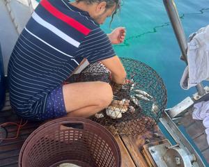 Custom made 15m Gulet