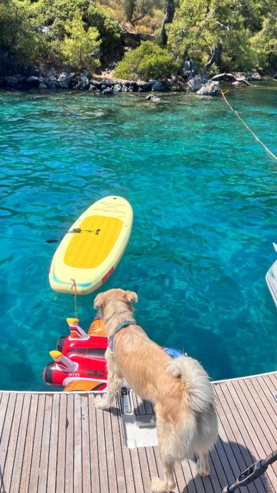 Kiralık Jeanneau 14m Yelkenli - 317-8