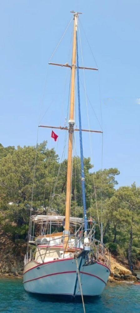 Kiralık Özel yapım 18m Gulet - 1059 - photo 9