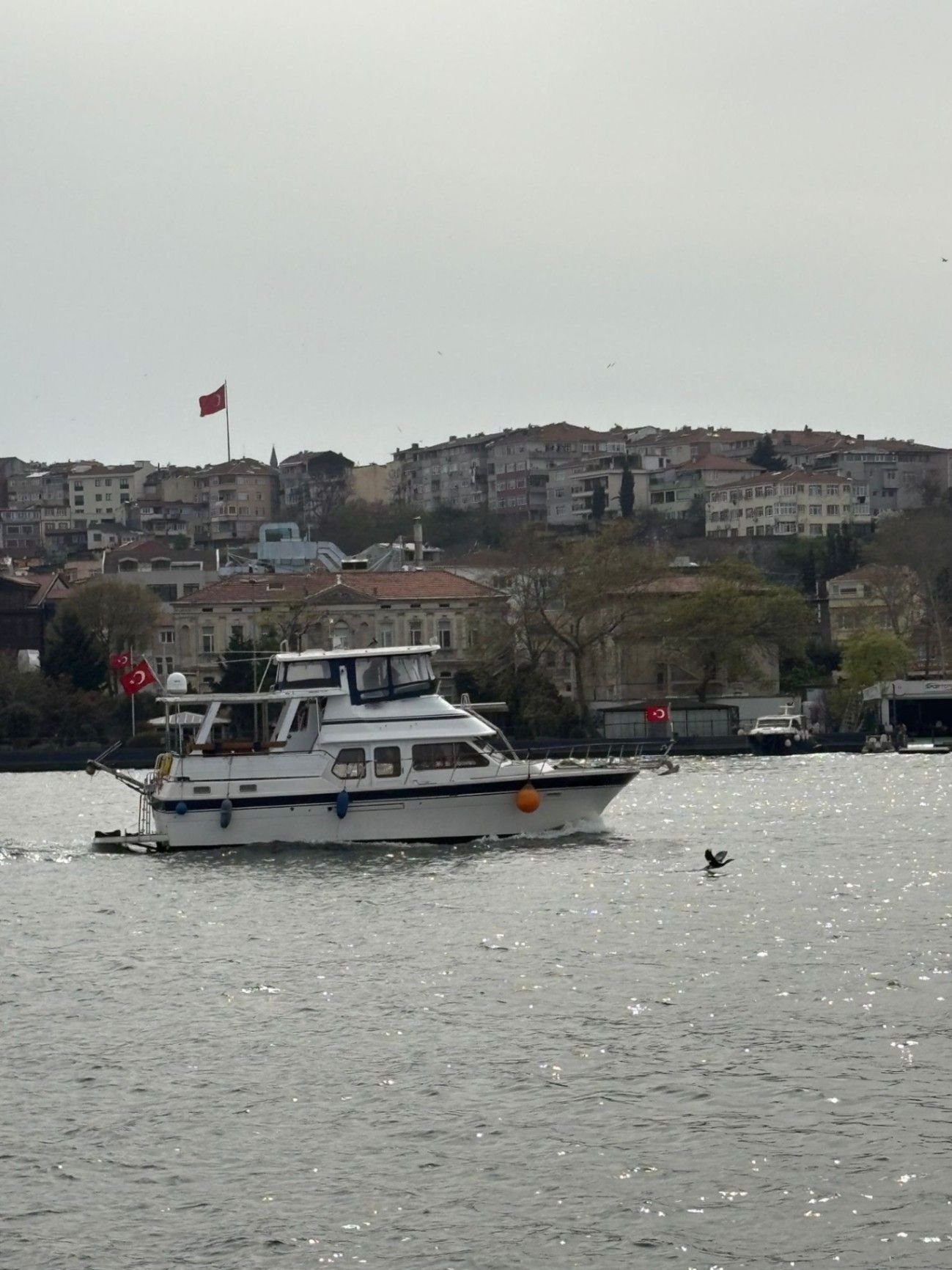 Custom made 12m Motor Yacht