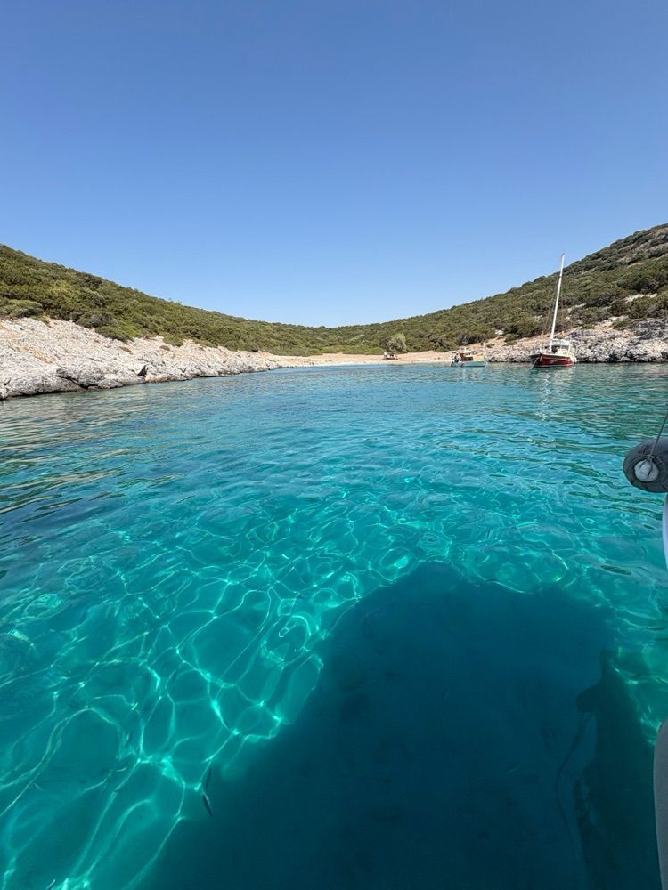 Özel yapım 10m Motoryat