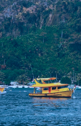 Sea Transport